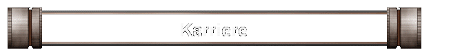 Karriere
